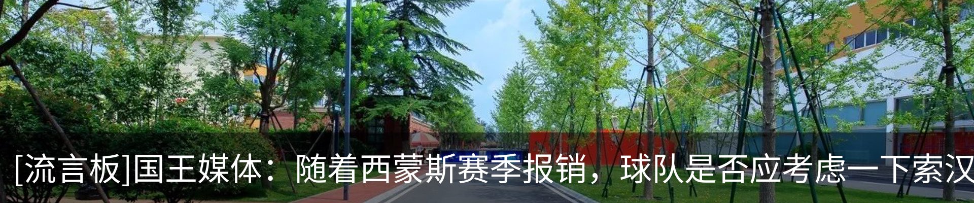 新闻动态